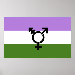 Póster Orgullo de género queer - queer
