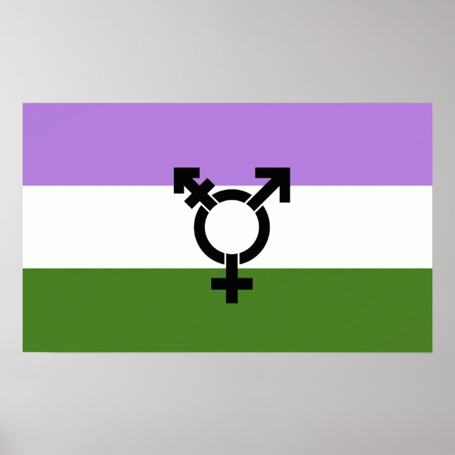 Póster Orgullo de género queer - queer (Frente)