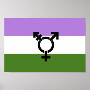 Póster Orgullo de género queer - queer