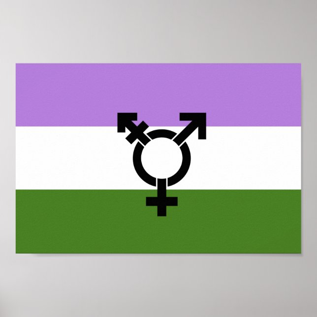 Póster Orgullo de género queer - queer (Frente)