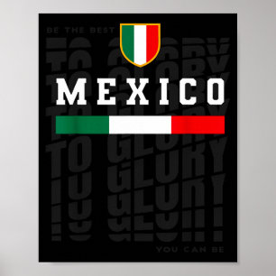 Póster Orgullo de la camiseta vintage de la bandera de fú