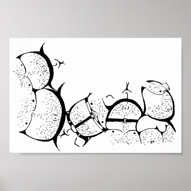 Póster ¡Orgullo de oso! (Frente)