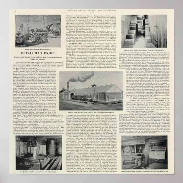 Póster Orgullo de Petaluma, California (Frente)