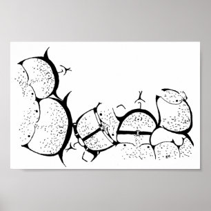 Póster ¡Orgullo del oso!