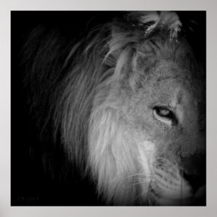 Póster Orgullo del Rey