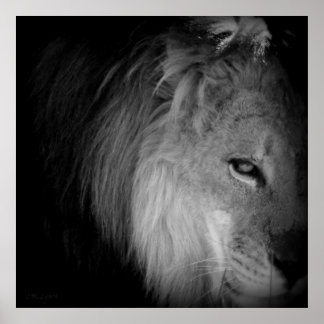 Póster Orgullo del Rey