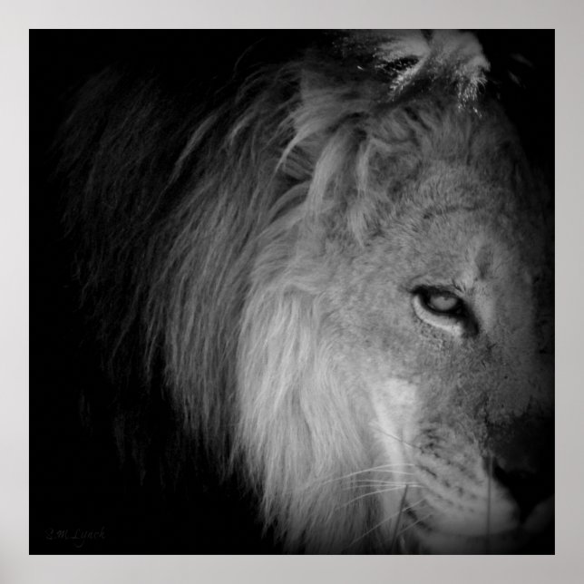 Póster Orgullo del Rey (Frente)