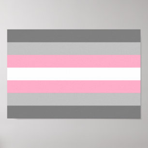 Póster Orgullo Demigirl