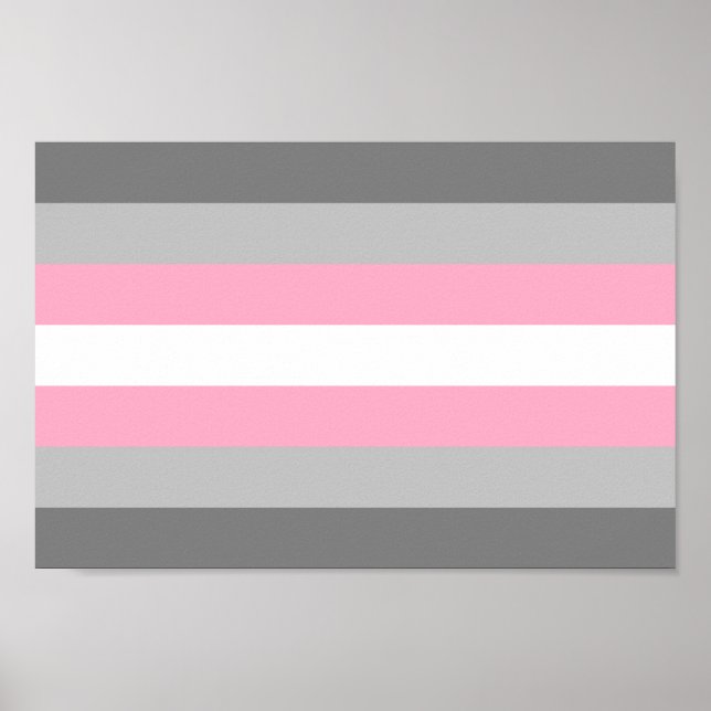 Póster Orgullo Demigirl (Frente)
