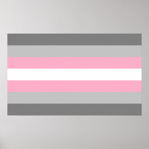 Póster Orgullo Demigirl
