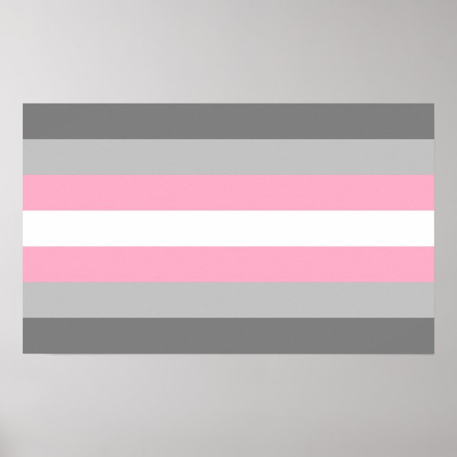 Póster Orgullo Demigirl (Frente)