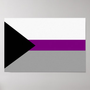 Póster Orgullo demisexual