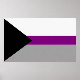 Póster Orgullo demisexual