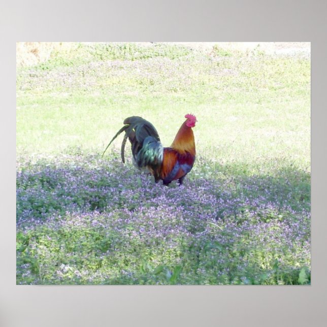 Póster Orgullo Feathered (Frente)