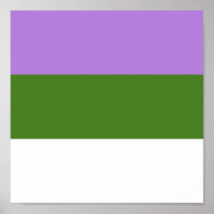PÓSTER ORGULLO GENDERQUEER
