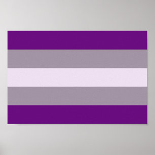 Póster Orgullo Grisexual