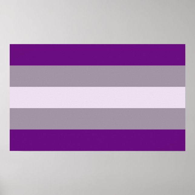 Póster Orgullo Grisexual (Frente)