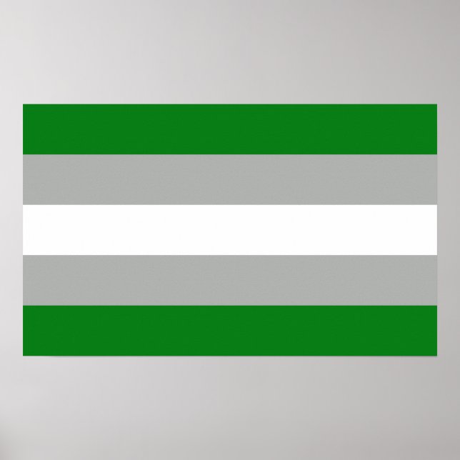 Póster Orgullo Grisromántico (Frente)