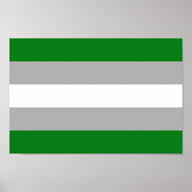 Póster Orgullo grisromántico (Frente)