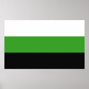 Póster Orgullo Neutrois
