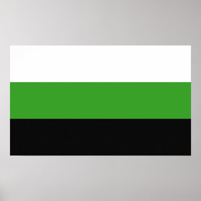 Póster Orgullo Neutrois (Frente)