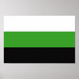 Póster Orgullo Neutrois