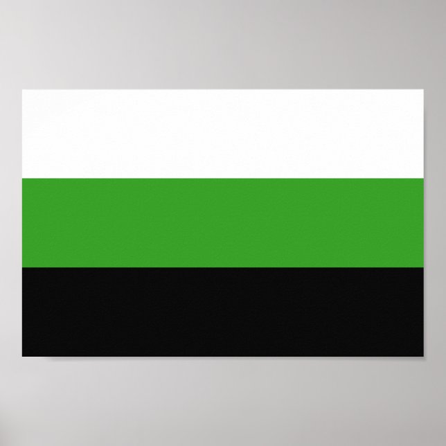 Póster Orgullo Neutrois (Frente)
