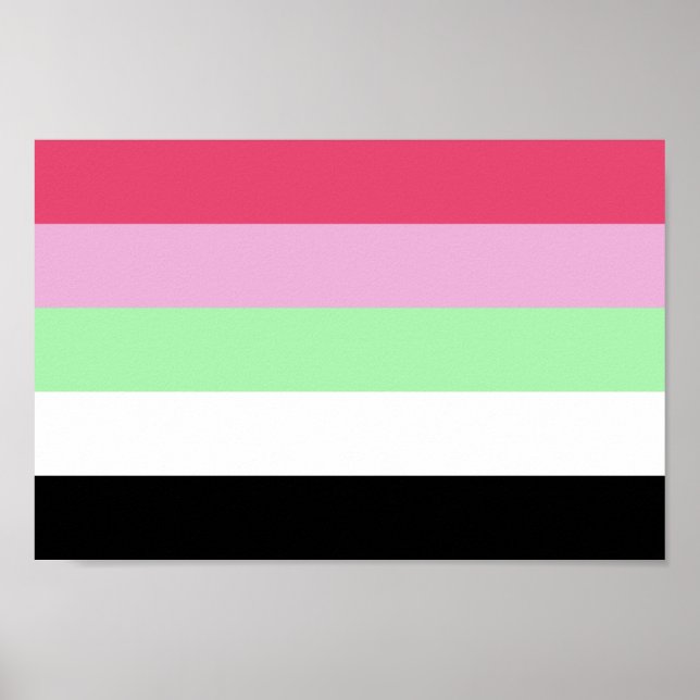 Póster Orgullo recipromántico (Frente)