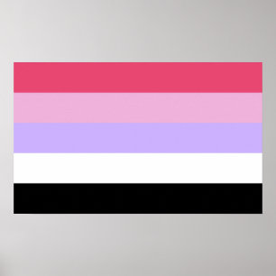Póster Orgullo Reciprosexual
