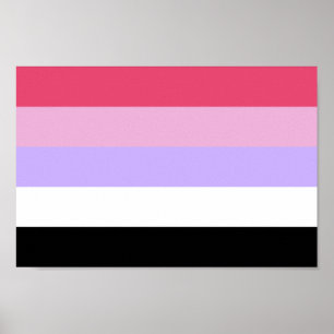 Póster Orgullo Reciprosexual