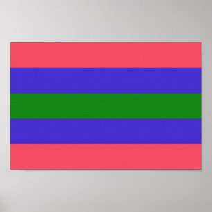 Póster Orgullo Trigénero