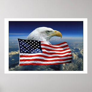 Póster Orgullosa Águila Americana