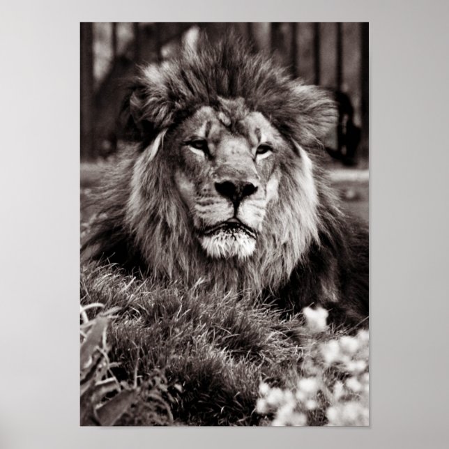 Póster Orgulloso (Frente)