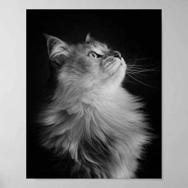 Póster Orgulloso (Frente)