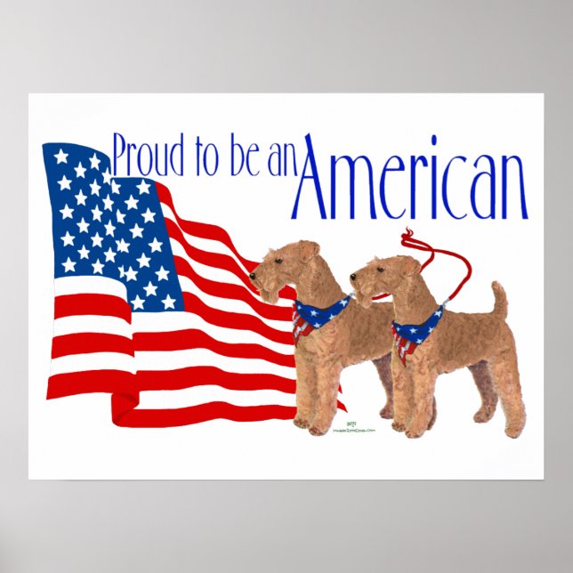 Póster Orgulloso de ser americano (Frente)
