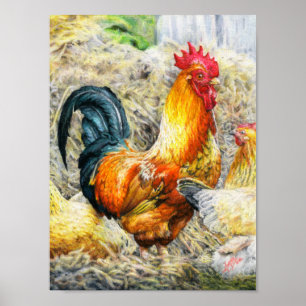 Póster Orgulloso Rooster