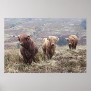 Póster ¡Orgulloso ser escocés!