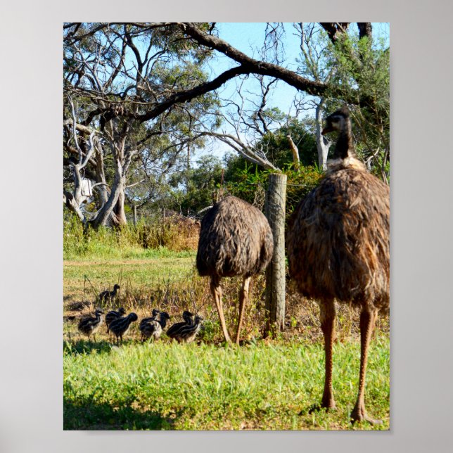 Póster Orgullosos Padres De La Uem, Poster (Frente)