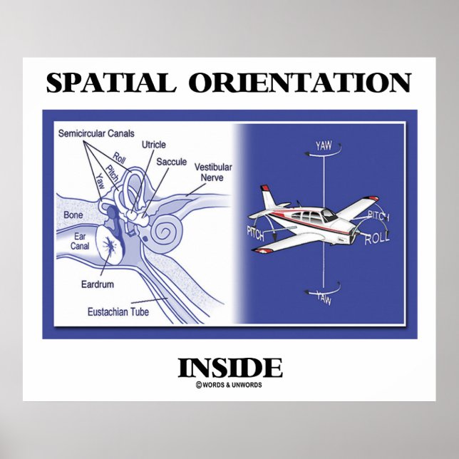 Póster Orientación Espacial Interior (Avión De Anatomía D (Frente)