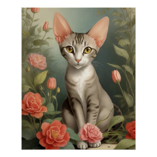 Póster Oriental Shorthair Cat