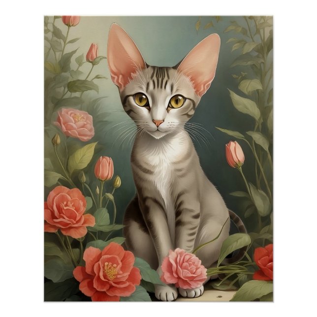 Póster Oriental Shorthair Cat (Anverso)