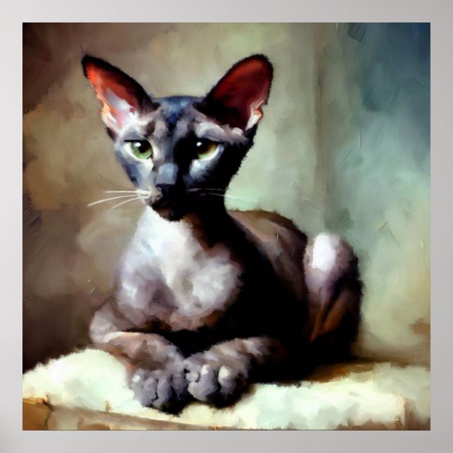 Póster Oriental Shorthair Cat (Frente)