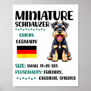 Póster Origen del Schnauzer Miniatura Divertido Amante de