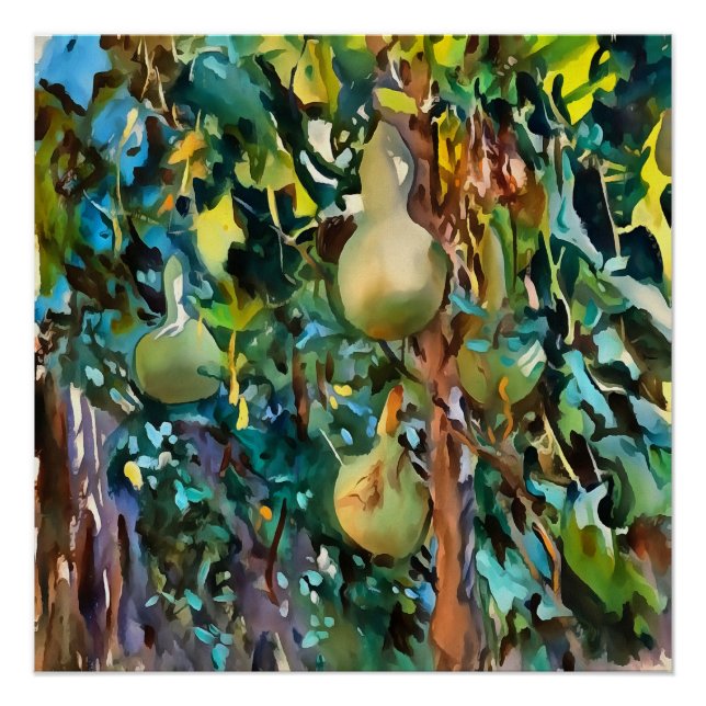 Póster Orígenes De Árbol De Calabash En Arte Acrílico De  (Anverso)