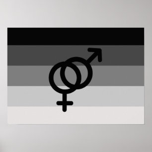 PÓSTER ORIGINAL RECTA DE LA BANDERA CON EL SÍMBOLO - .PNG