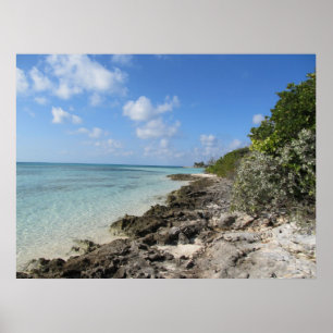 Póster Orilla rocosa - isleta de los Cocos
