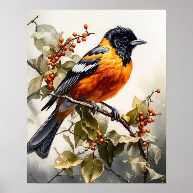 Póster Oriole Bird Art Print Poster (Frente)