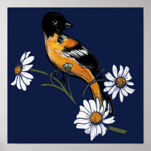 Póster Oriole Bird Daisy Flower Nature Art