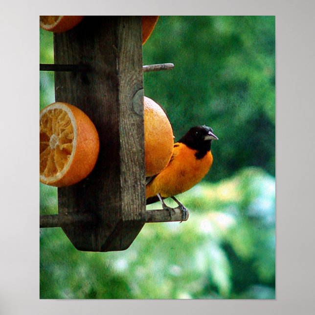 Póster Oriole Mase (Frente)