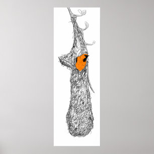 Póster Oriole Nest